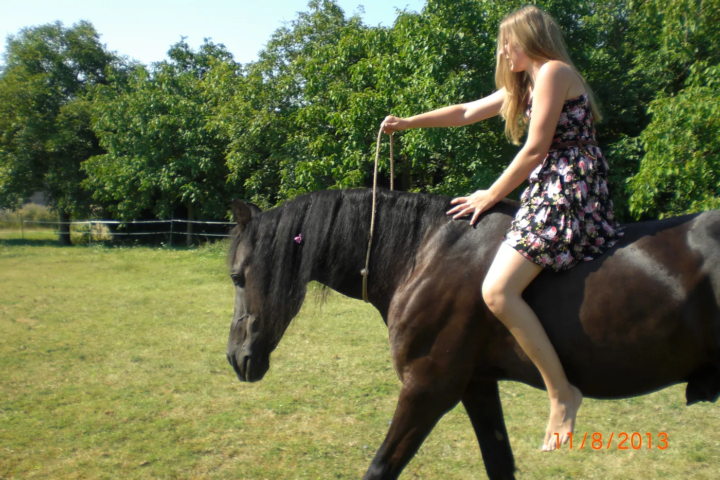 Foto aus Kristinas Zeit mit Schulpferden und Reitbeteiligungen (14 von 27)